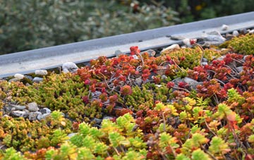 the cost of Roybridge green roof installation