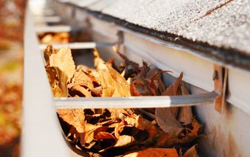 Roybridge gutter cleaning companies