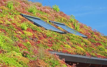 Roybridge living roof systems