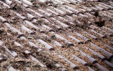 Roybridge roof cleaning companies