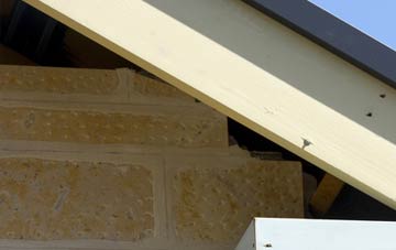 soffit repair Roybridge
