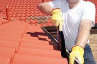 Roybridge roof cleaners